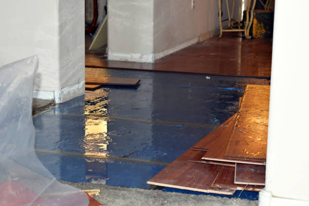 Professional Flood Cleanup technician working in Iselin, NJ